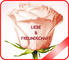 Liebe & Freundschaft