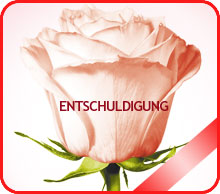 Entschuldigung